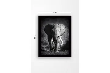 Inramad Canvastavla i trä - 41x56 cm - Storslagen elefant i majestätisk pose - Svart / Grå - Inredning - Tavlor & posters - Canvastavla