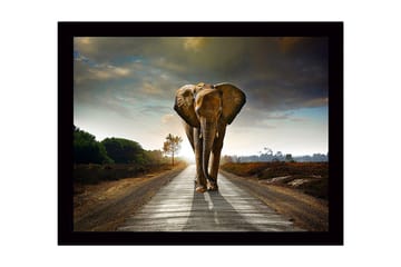 Inramad Canvastavla i trä - 41x56 cm - Storslagen elefant som går längs en väg i en dramatisk landskapsmiljö - Grå / Brun / Grön - Inredning - Tavlor & posters - Canvastavla