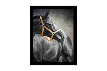 Inramad Canvastavla i trä - 41x56 cm - Svart häst med en orange grimma i profil - Svart / Orange / Grå - Inredning - Tavlor & posters - Canvastavla