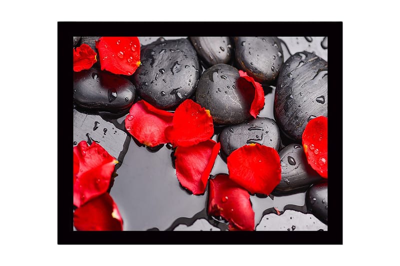 Inramad Canvastavla i trä - 41x56 cm - Svart stenar med röda rosenblad och vattendroppar - Röd / Svart - Inredning - Tavlor & posters - Canvastavla