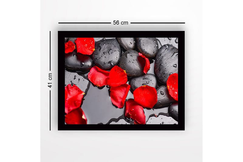 Inramad Canvastavla i trä - 41x56 cm - Svart stenar med röda rosenblad och vattendroppar - Röd / Svart - Inredning - Tavlor & posters - Canvastavla