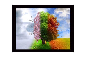 Inramad Canvastavla i trä - 41x56 cm - Träd som representerar de fyra årstiderna i en harmonisk komposition - Rosa / Grön / Orange - Inredning - Tavlor & posters - Canvastavla