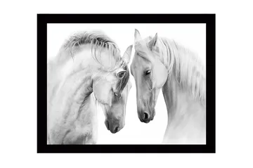 Inramad Canvastavla i trä - 41x56 cm - Två majestätiska hästar som lutar sina huvuden mot varandra - Vit / Grå - Inredning - Tavlor & posters - Canvastavla