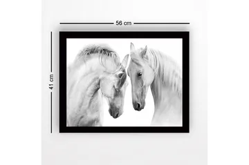 Inramad Canvastavla i trä - 41x56 cm - Två majestätiska hästar som lutar sina huvuden mot varandra - Vit / Grå - Inredning - Tavlor & posters - Canvastavla
