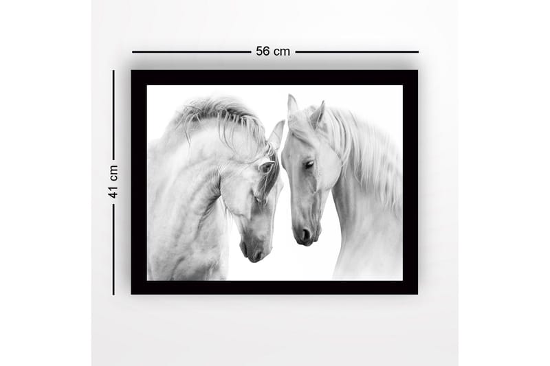 Inramad Canvastavla i trä - 41x56 cm - Två majestätiska hästar som lutar sina huvuden mot varandra - Vit / Grå - Inredning - Tavlor & posters - Canvastavla