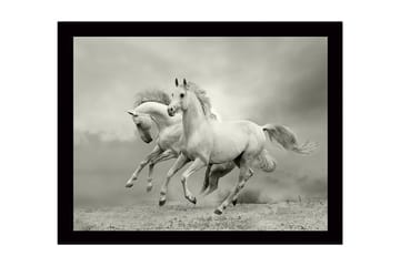 Inramad Canvastavla i trä - 41x56 cm - Två vita hästar som galopperar framåt i en dramatisk miljö - Vit / Grå - Inredning - Tavlor & posters - Canvastavla