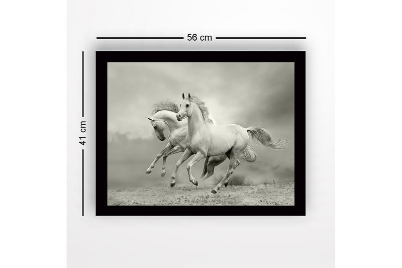 Inramad Canvastavla i trä - 41x56 cm - Två vita hästar som galopperar framåt i en dramatisk miljö - Vit / Grå - Inredning - Tavlor & posters - Canvastavla