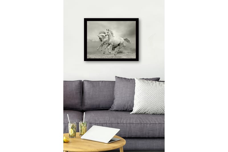 Inramad Canvastavla i trä - 41x56 cm - Två vita hästar som galopperar framåt i en dramatisk miljö - Vit / Grå - Inredning - Tavlor & posters - Canvastavla