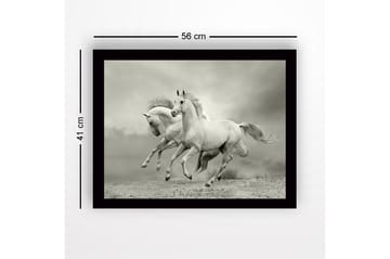 Inramad Canvastavla i trä - 41x56 cm - Två vita hästar som galopperar framåt i en dramatisk miljö - Vit / Grå - Inredning - Tavlor & posters - Canvastavla
