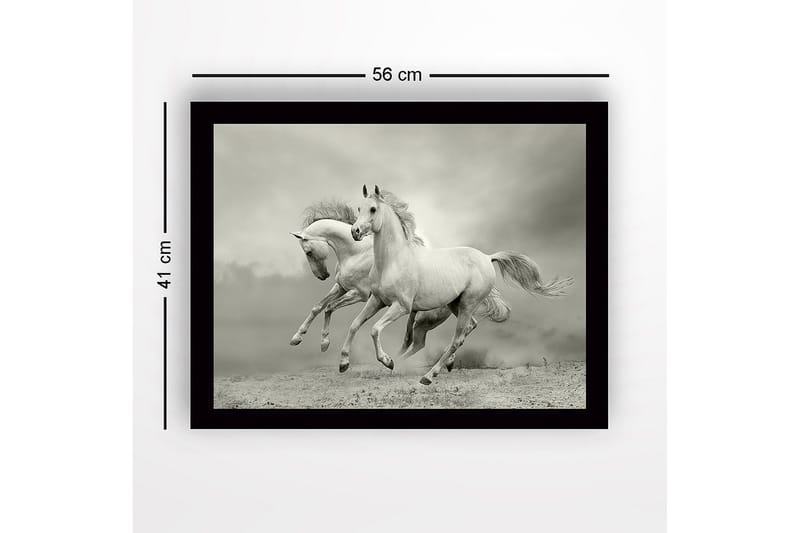 Inramad Canvastavla i trä - 41x56 cm - Två vita hästar som galopperar framåt i en dramatisk miljö - Vit / Grå - Inredning - Tavlor & posters - Canvastavla
