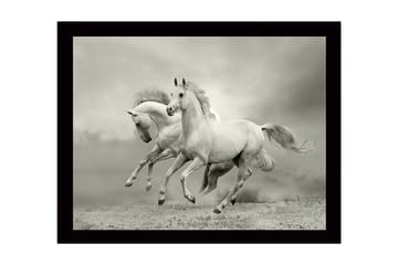 Inramad Canvastavla i trä - 41x56 cm - Två vita hästar som galopperar framåt i en dramatisk miljö - Vit / Grå - Inredning - Tavlor & posters - Canvastavla