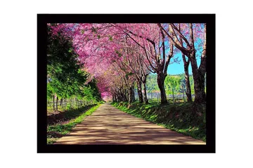 Inramad Canvastavla i trä - 41x56 cm - Vacker allé med blommande körsbärsträd i rosa nyanser - Rosa / Grön / Brun - Inredning - Tavlor & posters - Canvastavla
