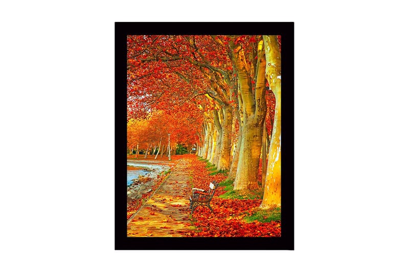 Inramad Canvastavla i trä - 41x56 cm - Vacker allé med höstfärgade träd och en bänk längs en promenadväg, Orange / Guld / Grön