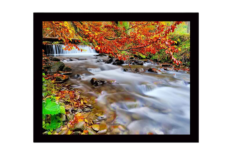 Inramad Canvastavla i trä - 41x56 cm - Vacker bäck med höstfärger och rinnande vatten - Orange / Grön / Brun - Inredning - Tavlor & posters - Canvastavla