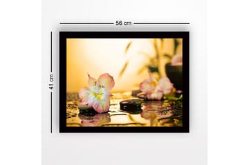 Inramad Canvastavla i trä - 41x56 cm - Vacker blomma med droppar av vatten på stenar - Rosa / Grön / Gul - Inredning - Tavlor & posters - Canvastavla