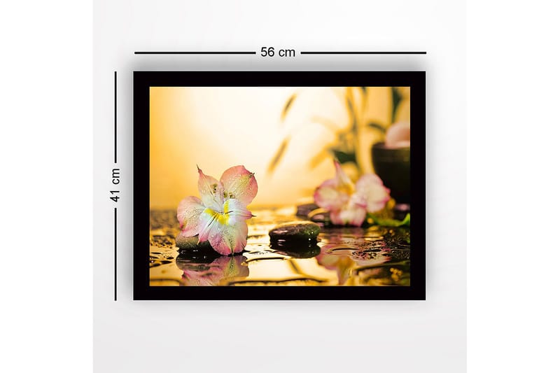 Inramad Canvastavla i trä - 41x56 cm - Vacker blomma med droppar av vatten på stenar - Rosa / Grön / Gul - Inredning - Tavlor & posters - Canvastavla