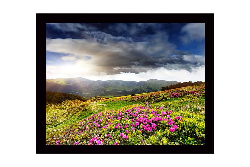 Inramad Canvastavla i trä - 41x56 cm - Vacker fjällandskap med blomstrande ängar, Grön / Rosa / Blå