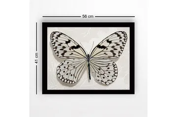 Inramad Canvastavla i trä - 41x56 cm - Vacker fjäril med detaljerade mönster i svart och vitt - Vit / Svart - Inredning - Tavlor & posters - Canvastavla