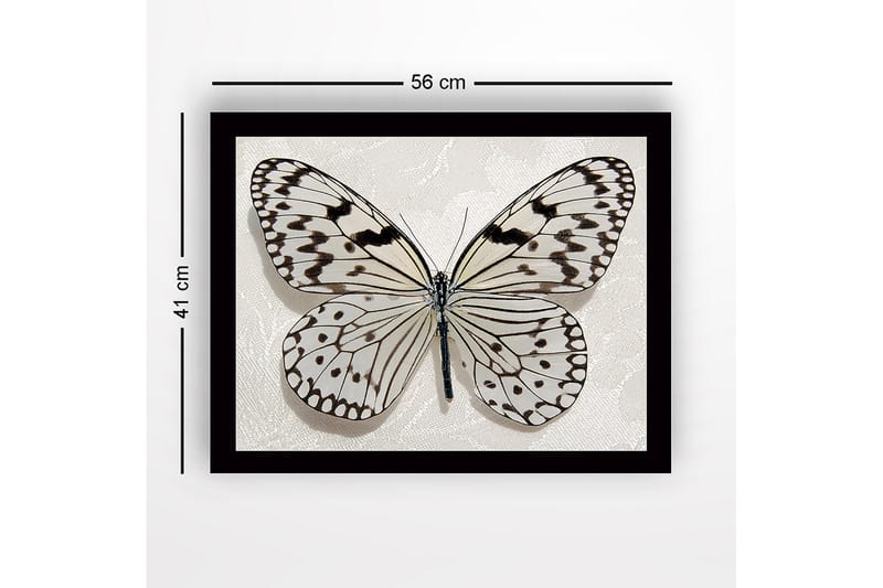 Inramad Canvastavla i trä - 41x56 cm - Vacker fjäril med detaljerade mönster i svart och vitt - Vit / Svart - Inredning - Tavlor & posters - Canvastavla