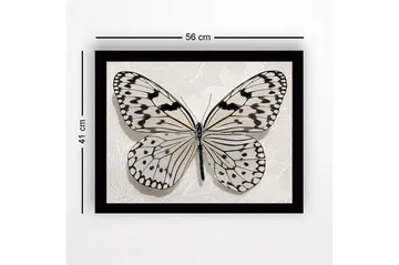 Inramad Canvastavla i trä - 41x56 cm - Vacker fjäril med detaljerade mönster i svart och vitt - Vit / Svart - Inredning - Tavlor & posters - Canvastavla