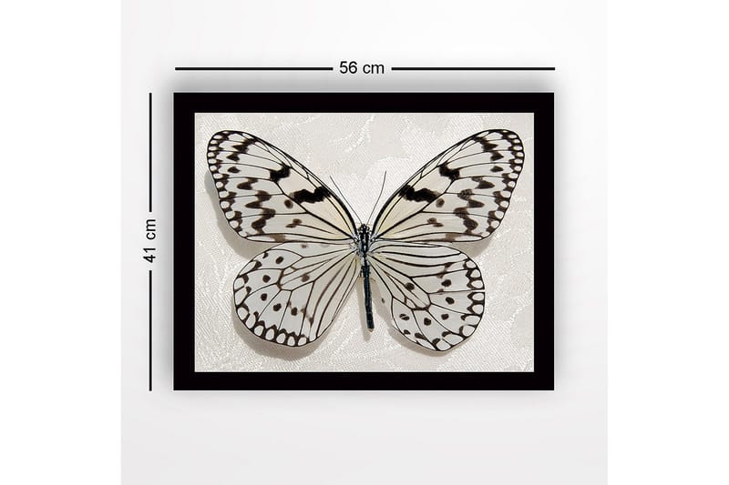Inramad Canvastavla i trä - 41x56 cm - Vacker fjäril med detaljerade mönster i svart och vitt - Vit / Svart - Inredning - Tavlor & posters - Canvastavla
