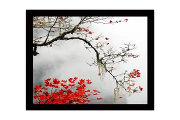 Inramad Canvastavla i trä - 41x56 cm - Vacker gren med röda höstlöv mot en dimmig bakgrund - Röd / Grå / Brun - Inredning - Tavlor & posters - Canvastavla