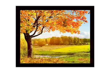 Inramad Canvastavla i trä - 41x56 cm - Vacker höstlandskap med ett stort träd och färgglada löv - Orange / Gult / Grönt - Inredning - Tavlor & posters - Canvastavla
