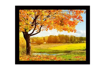 Inramad Canvastavla i trä - 41x56 cm - Vacker höstlandskap med ett stort träd och färgglada löv - Orange / Gult / Grönt - Inredning - Tavlor & posters - Canvastavla