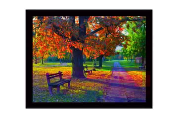 Inramad Canvastavla i trä - 41x56 cm - Vacker höstscen med färgglada träd och bänkar i en park - Orange / Grön / Brun - Inredning - Tavlor & posters - Canvastavla