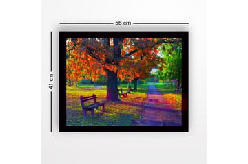 Inramad Canvastavla i trä - 41x56 cm - Vacker höstscen med färgglada träd och bänkar i en park - Orange / Grön / Brun - Inredning - Tavlor & posters - Canvastavla