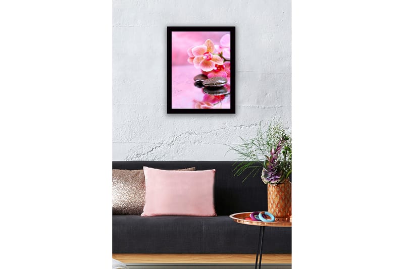 Inramad Canvastavla i trä - 41x56 cm - Vacker orkidé med stenar och droppar av vatten - Rosa / Svart - Inredning - Tavlor & posters - Canvastavla