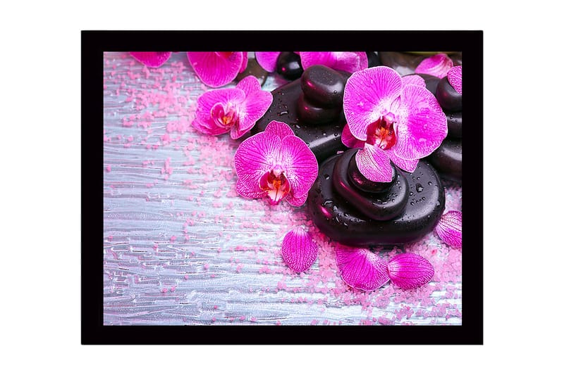 Inramad Canvastavla i trä - 41x56 cm - Vacker samling av orkidéer och svarta stenar - Rosa / Svart / Ljusgrå - Inredning - Tavlor & posters - Canvastavla