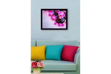 Inramad Canvastavla i trä - 41x56 cm - Vacker samling av orkidéer och svarta stenar - Rosa / Svart / Ljusgrå - Inredning - Tavlor & posters - Canvastavla