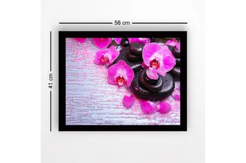Inramad Canvastavla i trä - 41x56 cm - Vacker samling av orkidéer och svarta stenar - Rosa / Svart / Ljusgrå - Inredning - Tavlor & posters - Canvastavla