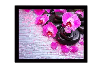 Inramad Canvastavla i trä - 41x56 cm - Vacker samling av orkidéer och svarta stenar - Rosa / Svart / Ljusgrå - Inredning - Tavlor & posters - Canvastavla