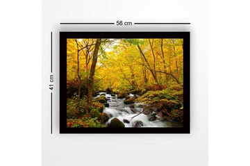 Inramad Canvastavla i trä - 41x56 cm - Vacker skog med en porlande bäck omgiven av gyllene höstlöv - Gult / Grönt / Brunt - Inredning - Tavlor & posters - Canvastavla