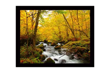 Inramad Canvastavla i trä - 41x56 cm - Vacker skog med en porlande bäck omgiven av gyllene höstlöv - Gult / Grönt / Brunt - Inredning - Tavlor & posters - Canvastavla