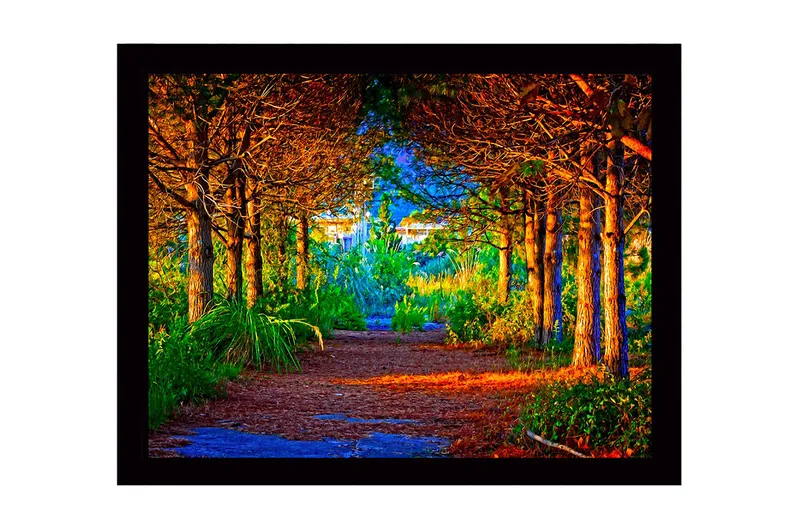 Inramad Canvastavla i trä - 41x56 cm - Vacker skogsstig omgiven av träd i gyllene och gröna nyanser - Guld / Grön / Brun - Inredning - Tavlor & posters - Canvastavla