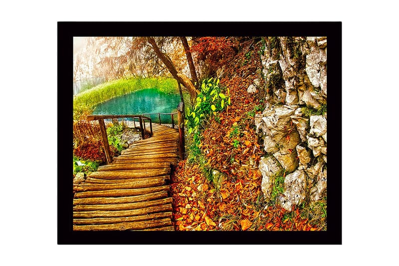 Inramad Canvastavla i trä - 41x56 cm - Vacker skogsstig vid en klar sjö omgiven av höstfärger, Grön / Orange / Brun