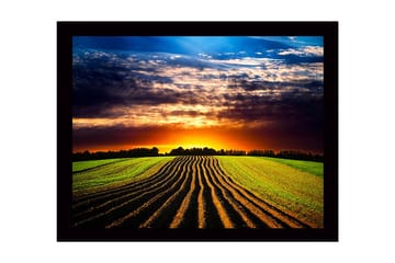 Inramad Canvastavla i trä - 41x56 cm - Vacker solnedgång över ett böljande fält med plöjda rader - Grön / Orange / Blå - Inredning - Tavlor & posters - Canvastavla