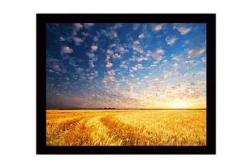 Inramad Canvastavla i trä - 41x56 cm - Vacker solnedgång över ett gyllene fält av vete - Guld / Blå / Vit - Inredning - Tavlor & posters - Canvastavla