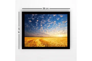 Inramad Canvastavla i trä - 41x56 cm - Vacker solnedgång över ett gyllene fält av vete - Guld / Blå / Vit - Inredning - Tavlor & posters - Canvastavla