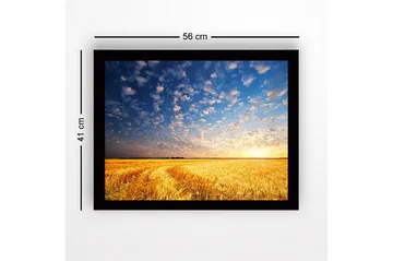 Inramad Canvastavla i trä - 41x56 cm - Vacker solnedgång över ett gyllene fält av vete - Guld / Blå / Vit - Inredning - Tavlor & posters - Canvastavla