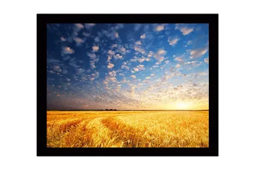 Inramad Canvastavla i trä - 41x56 cm - Vacker solnedgång över ett gyllene fält av vete - Guld / Blå / Vit - Inredning - Tavlor & posters - Canvastavla