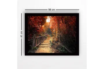 Inramad Canvastavla i trä - 41x56 cm - Vacker stig genom en höstfärgad skog - Röd / Orange / Brun - Inredning - Tavlor & posters - Canvastavla