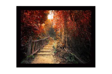 Inramad Canvastavla i trä - 41x56 cm - Vacker stig genom en höstfärgad skog - Röd / Orange / Brun - Inredning - Tavlor & posters - Canvastavla