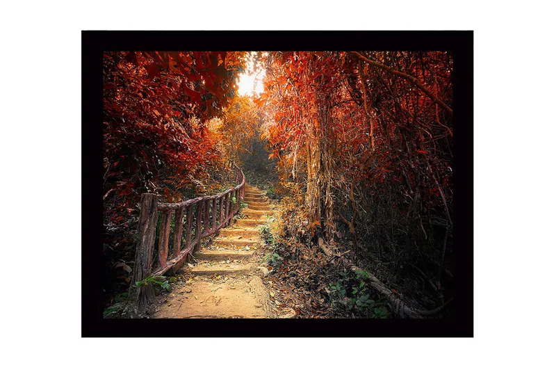 Inramad Canvastavla i trä - 41x56 cm - Vacker stig genom en höstfärgad skog - Röd / Orange / Brun - Inredning - Tavlor & posters - Canvastavla