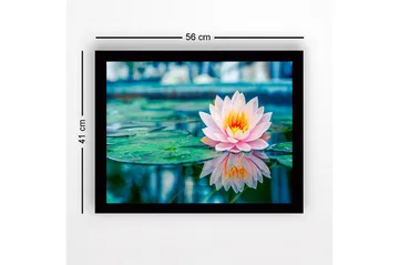 Inramad Canvastavla i trä - 41x56 cm - Vacker vattenlilja som flyter på en spegelblanka yta - Rosa / Grön / Gul - Inredning - Tavlor & posters - Canvastavla