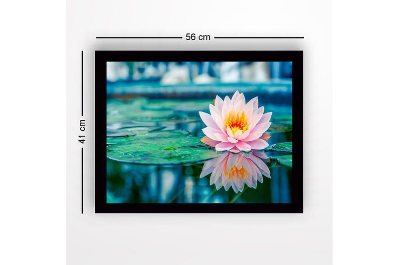 Inramad Canvastavla i trä - 41x56 cm - Vacker vattenlilja som flyter på en spegelblanka yta - Rosa / Grön / Gul - Inredning - Tavlor & posters - Canvastavla