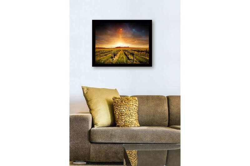 Inramad Canvastavla i trä - 41x56 cm - Vacker vinodling under en gyllene solnedgång - Guld / Grön / Brun - Inredning - Tavlor & posters - Canvastavla